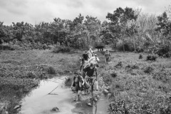 People follow a path to enter Colombia illegally, near Villa del Rosario in North Santander, Colombia, one of the busiest regions for border crossings, on October 9, 2018. Even though Venezuela officially closed its land border with Colombia in February 2020, around 300 clandestine crossing points remained active. In both directions, the illegal border crossing has made epidemiological monitoring impossible, increasing the population's risk of contagion. Without data of people leaving and entering Colombia and people infected by Covid-19, it is hard for international agencies and NGOs to respond to the health crisis. 
Since 2018, the photographer has spent months and weeks at several Colombian-Venezuelan borders and along the migration routes that lead to the capital city Bogotà to produce the project Exodus, coming across this group of people who, like others, were entering Colombia. After the crossing, the people gave their the consent to publish the photograph.