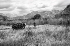 After Guatemalan security forces tried to break up a 10,000-person -strong caravan and stop their northward journey, police officers search for people hidden in the forest in Vado Hondo, Guatemala, on January 18, 2021.
Despite COVID-19-related border closures, refugees and migrants from Central America continued to flee their countries and head north throughout 2020 and 2021.  
Hurricanes Eta and Iota hit Central America, in November 2021, leaving 9.3 million victims (UNICEF) of flooding and mudslides, and fueling a significant migration to the United States- one of the biggest of the recent decades-which came on the heels of other recent migrations, often caused by political instability and uncontrolled gang violence.